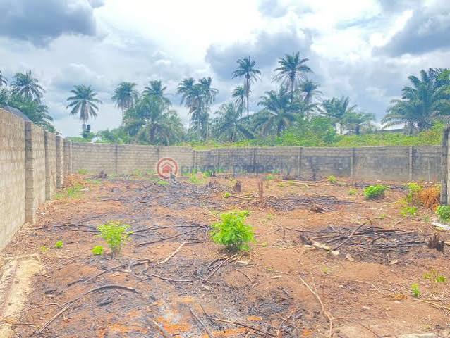 Buying Land in a Developing Area Near Owerri: Access, Flood Risk, Title & Hype Checks